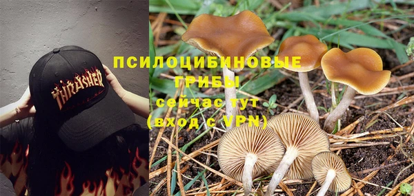 амф Армянск