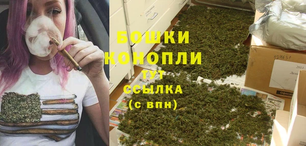 трава Арсеньев