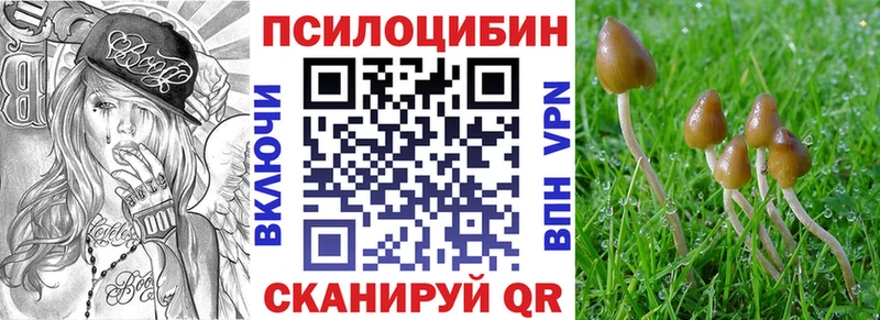 Галлюциногенные грибы GOLDEN TEACHER  Павловск 