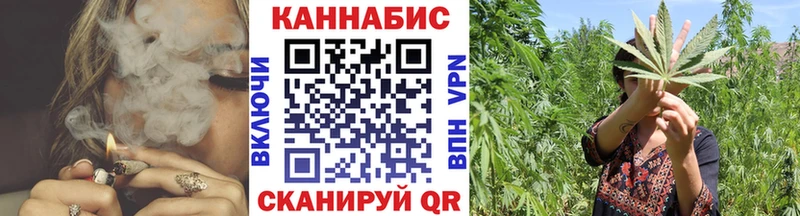 Конопля марихуана  Павловск 